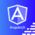 angular js_logo